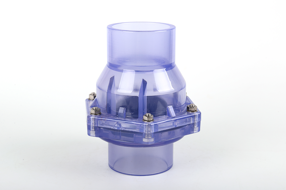 饶阳透明翻板式止回阀